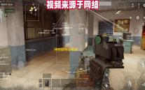 神奇猫咪在哪里  1.4