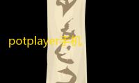 potplayer手机版v8.19 人气热度 ：85℃